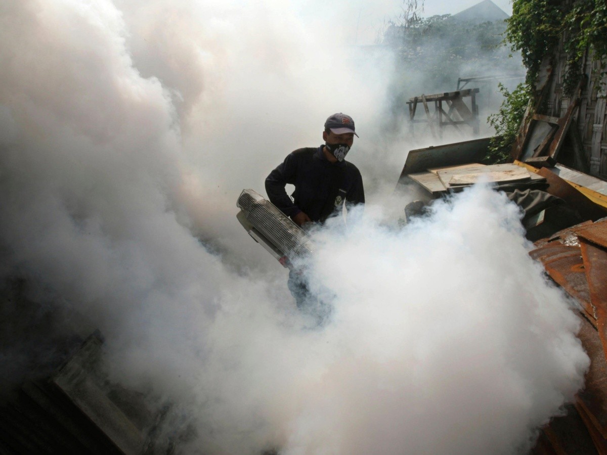  Preocupa a la SSJ brote de dengue en Costa de Jalisco
