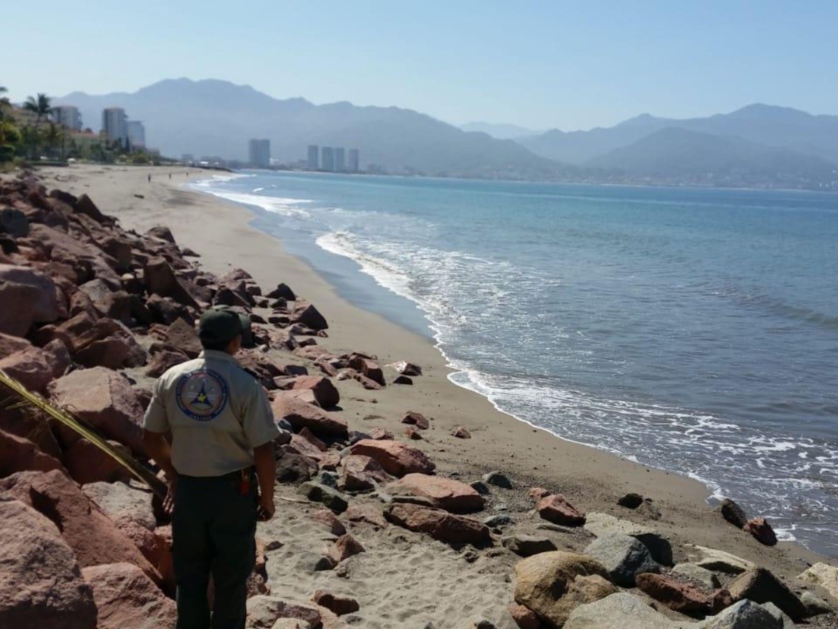  Playas en México lucen sin turistas y vigiladas ante emergencia por COVID-19