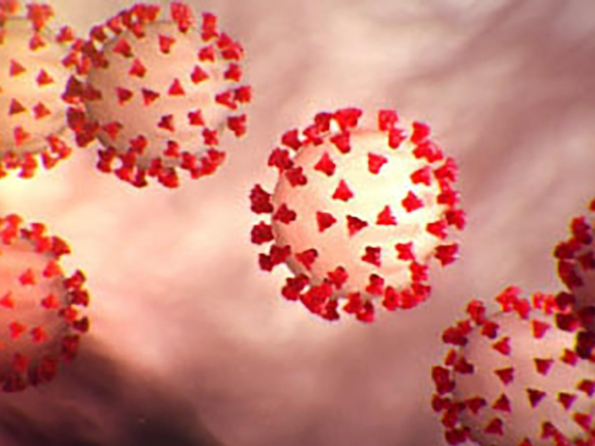  Cómo mutan los virus y cómo podría evolucionar el coronavirus