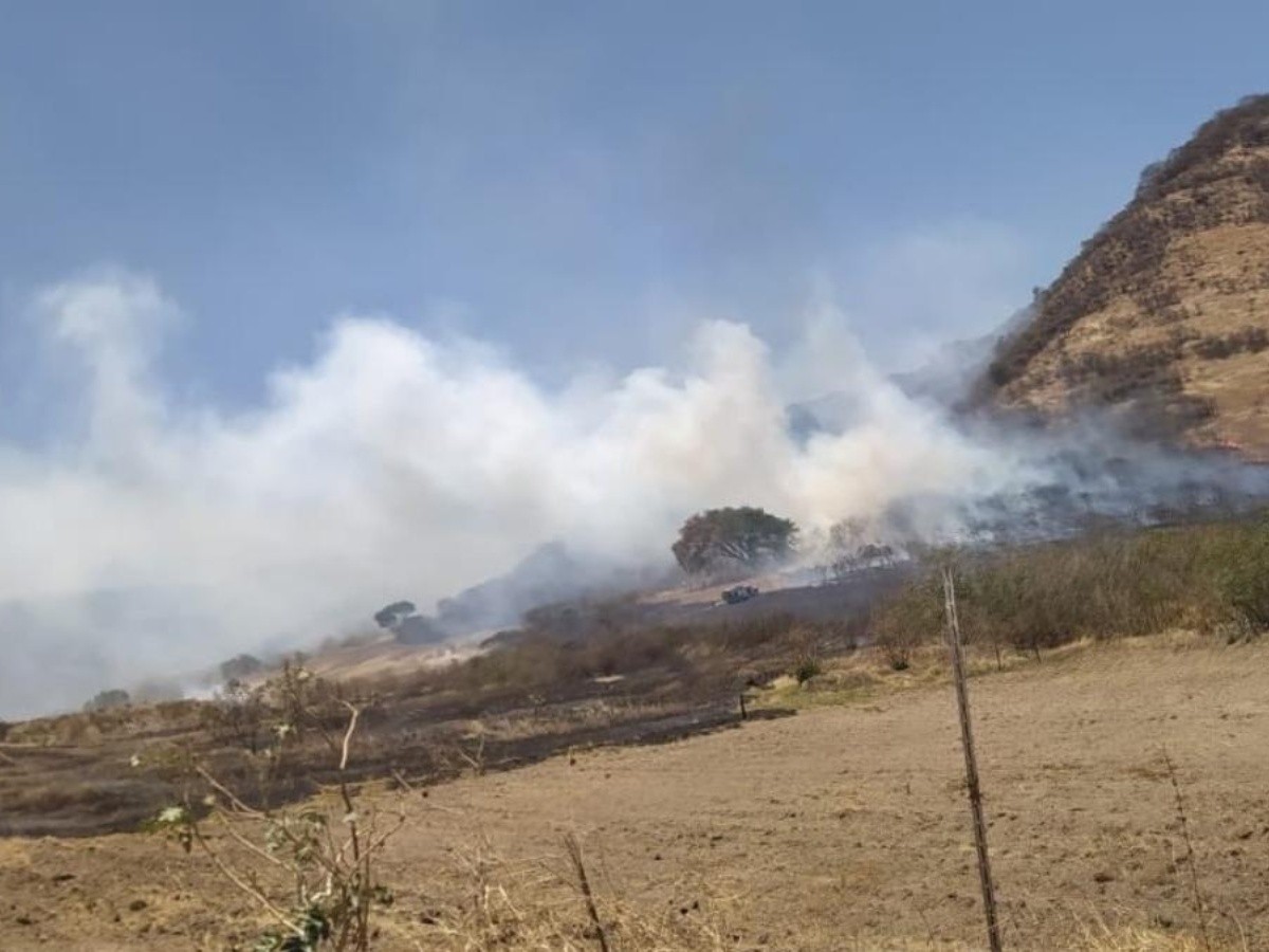  Se registra incendio en La Primavera, en el Cerro de la Campana