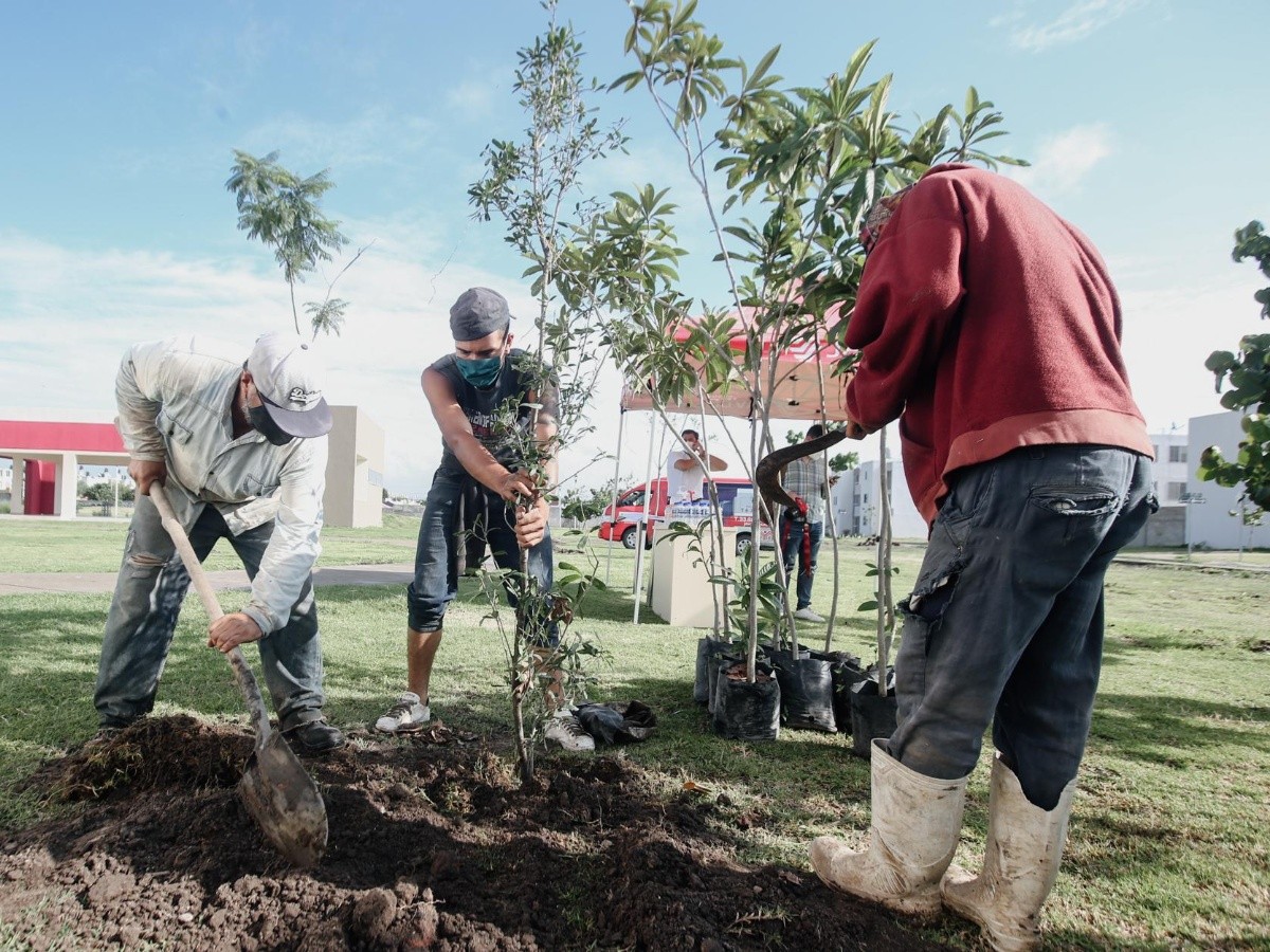 Javer planta más de 100 árboles en Valle de Tejeda | El Informador