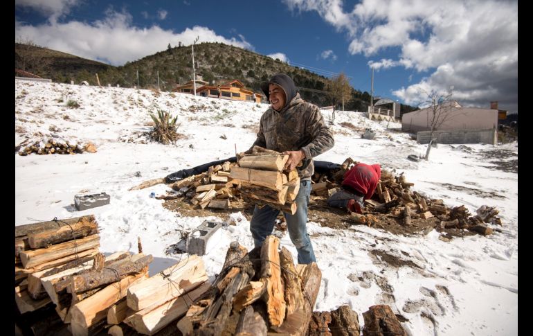 Un habitante del poblado de Santa Rita junta hoy leña en una zona nevada para su venta en el municipio de Arteaga, Coahuila. EFE/M. Sierra