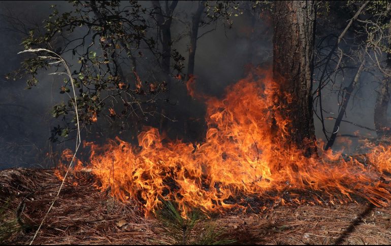 Elementos de Semadet y de Tlajomulco apoyan en las labores de combate al incendio. EFE/ARCHIVO