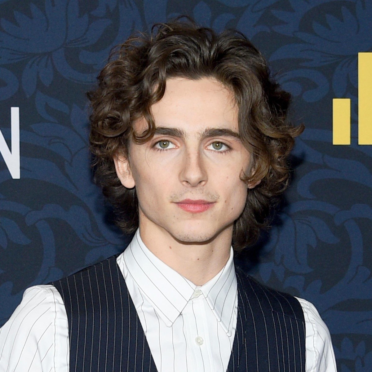 Timothée Chalamet: sus películas más famosas, nominaciones y