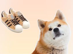 Adidas conmemora a Hachiko con estos nuevos (y peludos) tenis