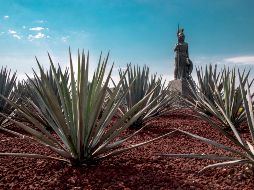 ISTOCK GETTY IMAGES/PENA ROMANO