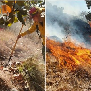 Reportan nuevo incendio en el Bosque La Primavera