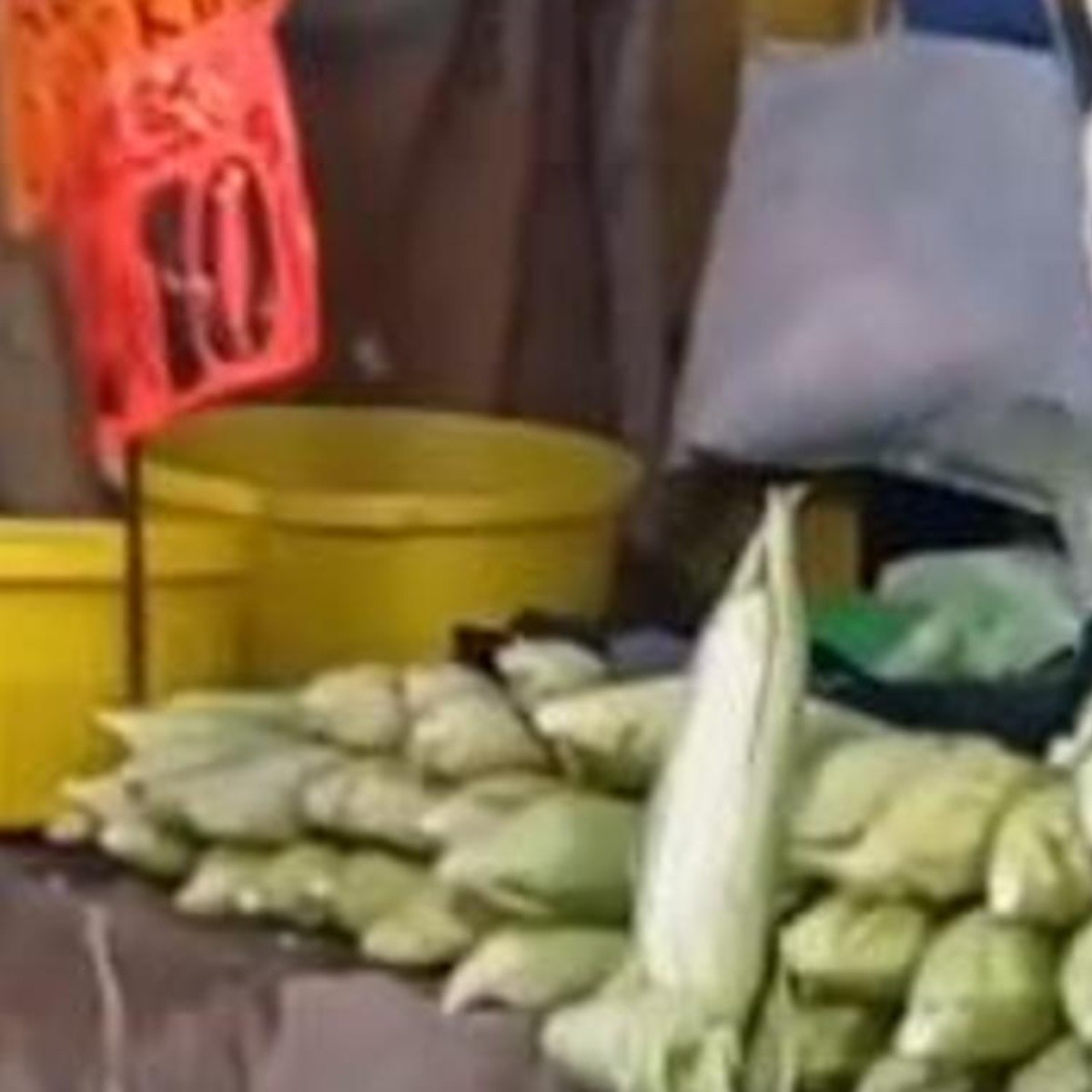 Viral: Usuaria de TikTok revela cuánto dinero gana un vendedor de elotes  (VIDEO) | El Informador