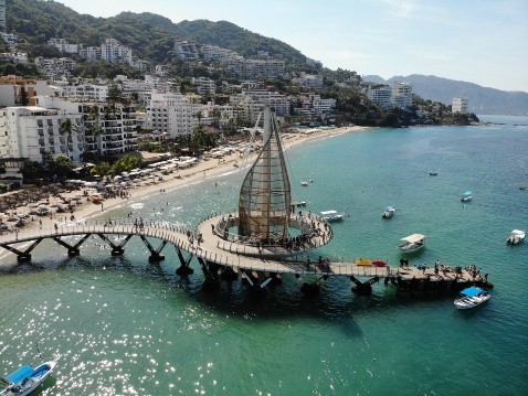 Cocodrilos en Puerto Vallarta! conoce los ataques que se han registrado en  esta zona de Jalisco | El Informador