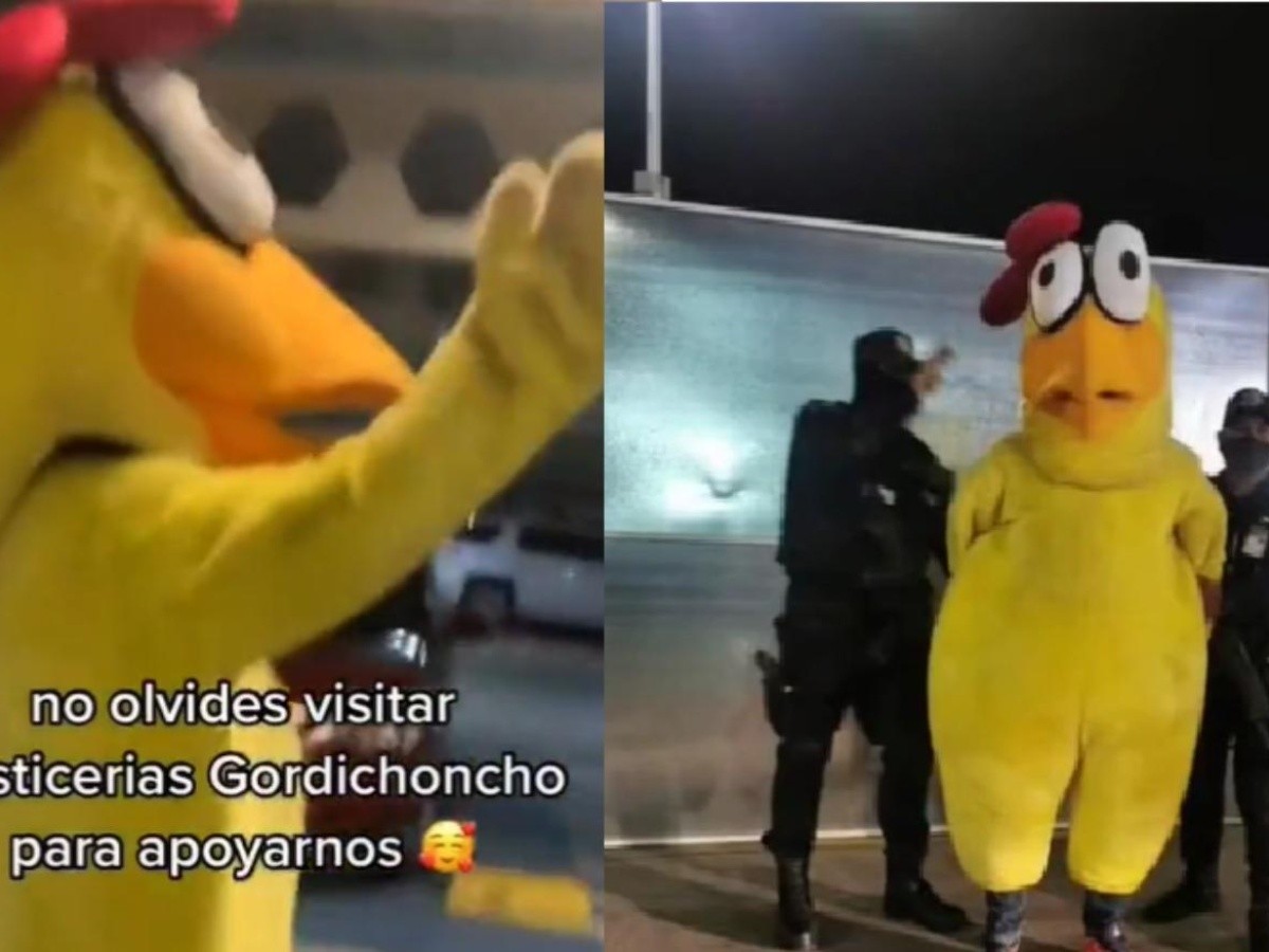 Viral en TikTok: Arrestan a botarga de pollo en aeropuerto de Guadalajara  (Video) | El Informador