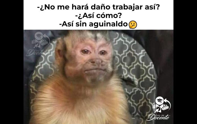 ¡Checa! Los mejores memes del aguinaldo para compartir