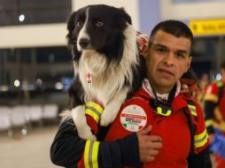 De México para el mundo, estos héroes de cuatro patas se suman a los trabajos de rescate en Turquía junto a sus entrenadores. TWITTER/@m_ebrard