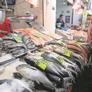 Profeco: Recomienda Procuraduría del Consumidor dos tipos de pescado que  cuestan menos de 30 pesos | El Informador