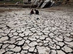 Entre 2 mil y 3 mil millones de personas sufren escasez de agua en el mundo. ESPECIAL