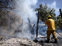 Jalisco es una de las entidades con más hectáreas dañadas por incendios. ESPECIAL