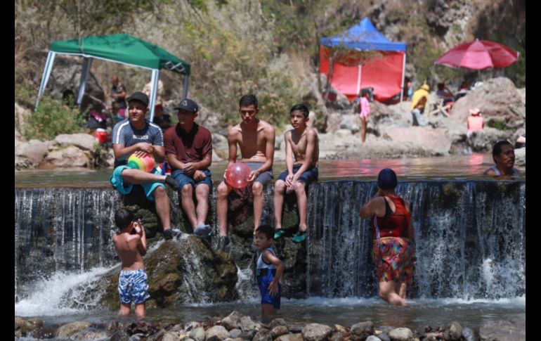 El Río Caliente se encuentra dentro del ANP de La Primavera. EL INFORMADOR / CARLOS ZEPEDA