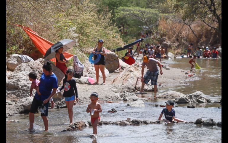 El Río Caliente se encuentra dentro del ANP de La Primavera. EL INFORMADOR / CARLOS ZEPEDA