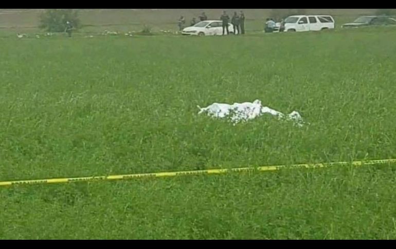 Los cuerpos estaban en un cultivo de la colonia Santa Ana Ahuehuepan. ESPECIAL