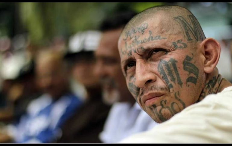 Mara significa pandilla, trucha es inteligente y salva, de El Salvador: Mara Salvatrucha. SUN