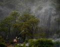 Al hombre se le imputa el delito de ecocidio. ESPECIAL/ Gobierno de Jalisco