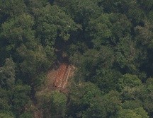 La Amazonía colombiana es una de las áreas más biodiversas del país. EFE/ARCHIVO