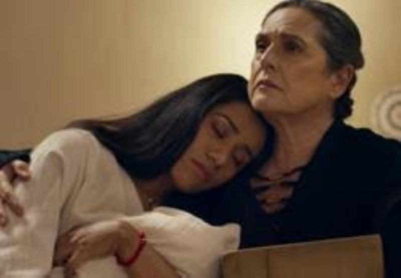 Netflix Hoy Se Estrena La Serie “madre De Alquiler” En Netflix El Informador 7446