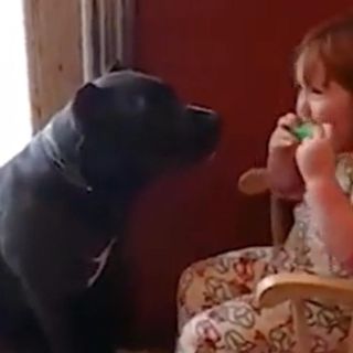 Niña se gana el cariño del público al tocar su armónica con su perro (VIDEO)