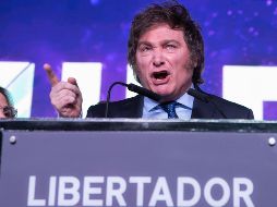 Entre otras cosas, Javier Milei está a favor de la libre portación de armas y de la venta de órganos y en contra del aborto. EFE / G. Abramovic