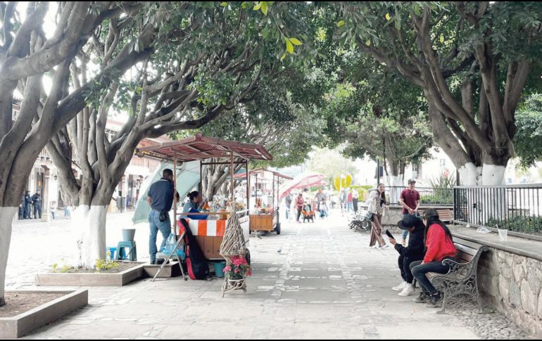 Tapalpa destaca por su hospitalidad con el turismo. EL INFORMADOR/ P. Gallardo