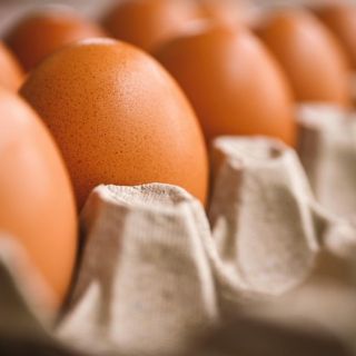 ¿Cuál será el precio del huevo en la última semana de noviembre?