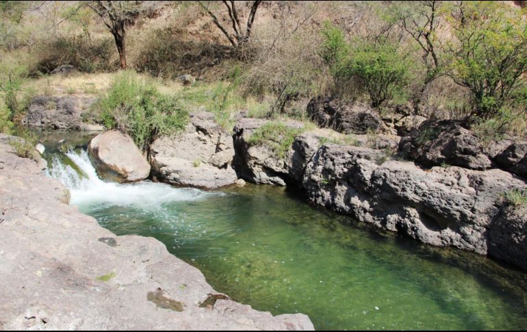 Cuquío tiene el río caliente más grande y profundo de Jalisco. ESPECIAL/ Cultura Cuquío
