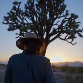 HBO Max: Este documental introspectivo sobre árboles nos dice mucho de la humanidad