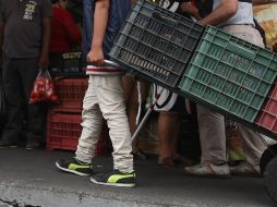 Entre los tipos de esclavitud moderna que preocupan a las organizaciones, la explotación y el trabajo infantil ocupan un lugar de monitoreo especial. EL INFORMADOR / ARCHIVO