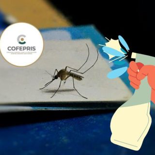 Cofepris emite alerta sanitaria por comercio ilegal de este insecticida
