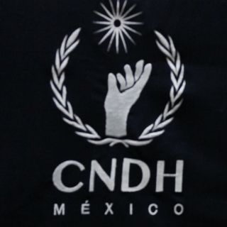 CNDH emite recomendación por presunto suicidio de 13 reclusas en penal de Morelos