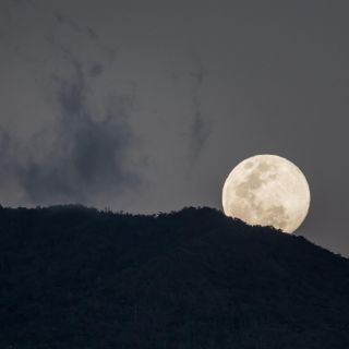 Luna llena del Lobo 2024: ¿a qué hora se podrá ver hoy 25 de enero?