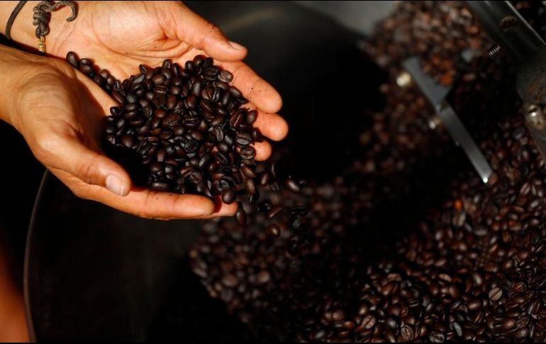 Hay varios estados que producen buen café en México, ¿cuál es el mejor? EFE / ARCHIVO