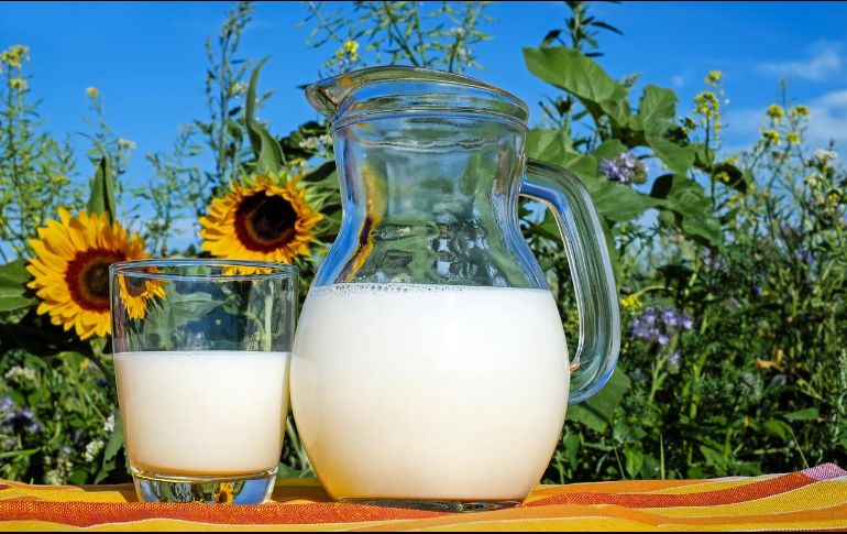 La lactosa es un tipo de azúcar que se encuentra en la leche y sus derivados. Pixabay.