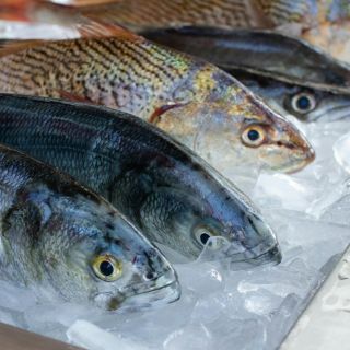 Harvard revela los beneficios para el cuerpo si comes pescado seguido
