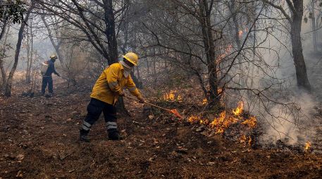 Las autoridades también buscan capacitar a integrantes de Protección Civil, bomberos y núcleos agrarios en el combate de estos siniestros. SUN/ARCHIVO