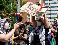 La protesta ha sido organizada por diferentes grupos, incluido el Movimiento de la Juventud Palestina y la organización de izquierdas 