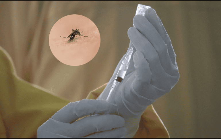 Los casos graves de dengue pueden ocasionar sangrado interno, falla orgánica y muerte. UNSPLASH / M. MAJNUN