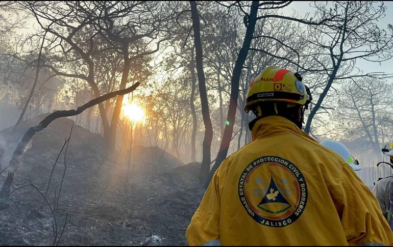 El incendio en El Tajo es controlado por 221 bomberos de diversas corporaciones. X/ReporteForestal