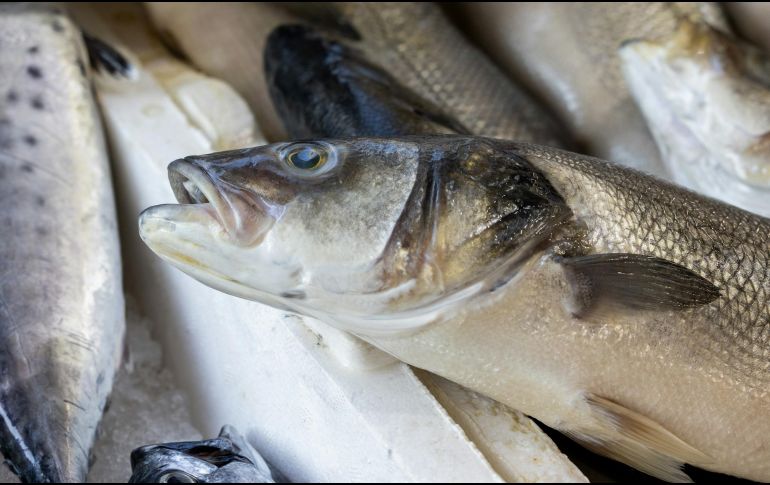 Sumar pescado en nuestra dieta es imprescindible para cuidar y fortalecer el corazón. ESPECIAL / Foto de engin akyurt en Unsplash