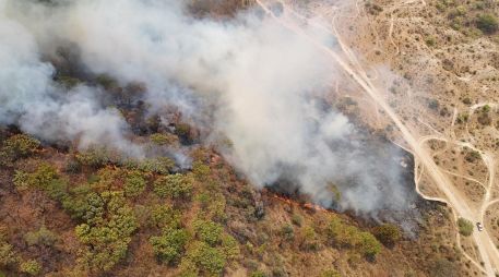 El fuego fue controlado por la noche según la SEMADET a las 21:00 horas de la noche, sin embargo, las labores de enfriamiento de la zona continuaron por varias horas. ESPECIAL