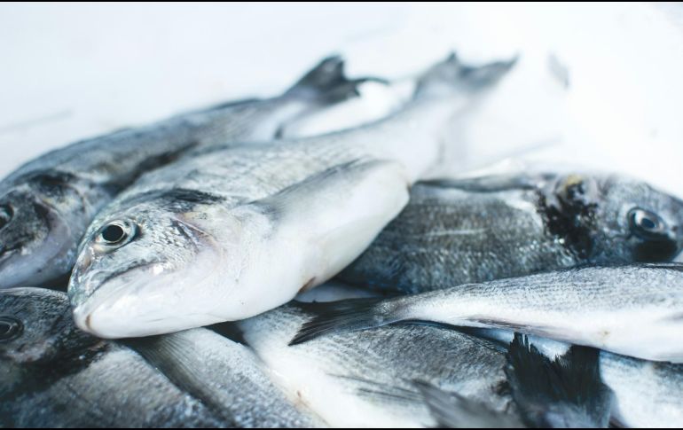 El consumo de aceites de pescado, una fuente rica en ácidos grasos de omega-3, ha sido recomendado como una medida dietética para prevenir enfermedades cardiovasculares. ESPECIAL / Foto de Jakub Kapusnak en Unsplash