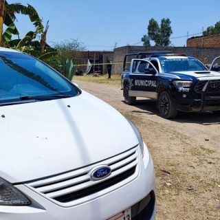 Aseguran 9 vehículos con reporte de robo en Zapopan