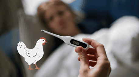 La gripe aviar se está convirtiendo en un problema de sanidad en México. CANVA