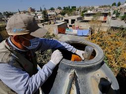 Las colonias con casos identificados por Servicios de Salud Jalisco, dentro del AMG hasta esta semana epidemiológica, son Oblatos, Balcones de Oblatos y Morelos en Guadalajara así como el Infonavit Revolución en Tlaquepaque, en el AMG van 27 casos confirmados de dengue. ESPECIAL