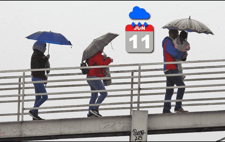 Los modelos de acumulados de precipitación del IAM pronostican el inicio climático del temporal entre el 10 y 12 de junio. EL INFORMADOR / ARCHIVO